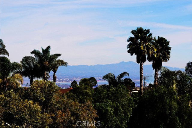 Ocean View from the House