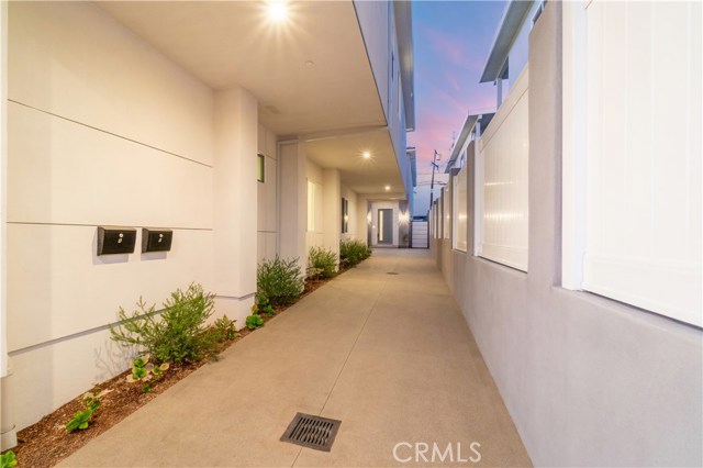Shared Driveway