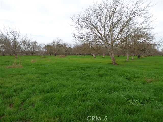 45, 95932, ,Land,For Sale,45,SN18008430