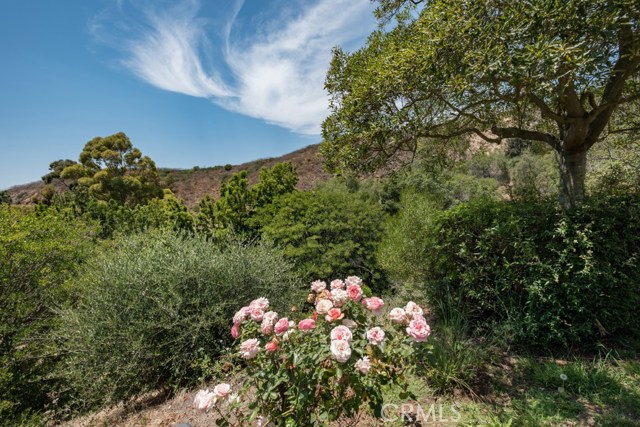 View across Paintbrush Canyon