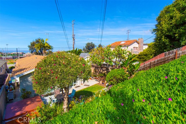 ocean view from the top of the hill in the backyard!