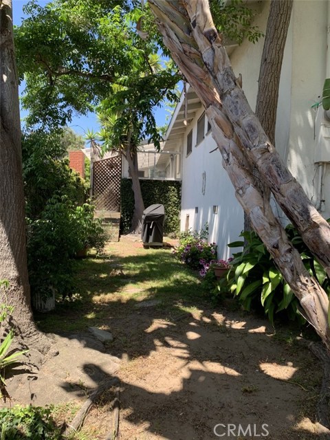 southside of house & patio off kitchen