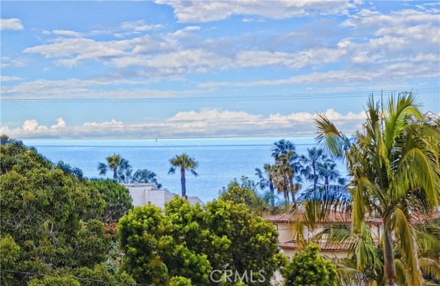 Ocean view from front yard