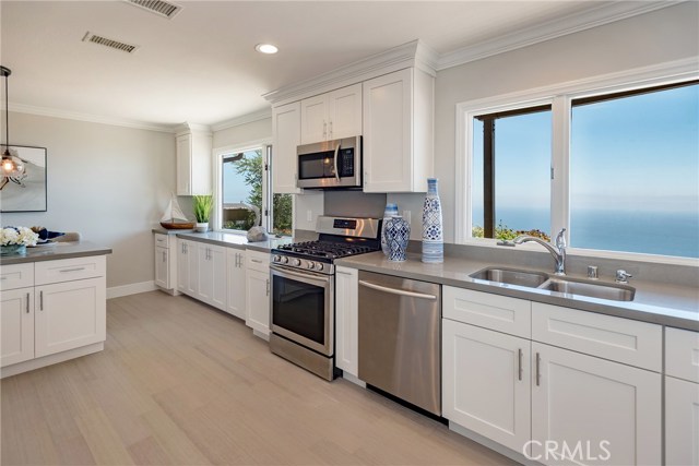 Stainless steel appliances - Great view from kitchen sink