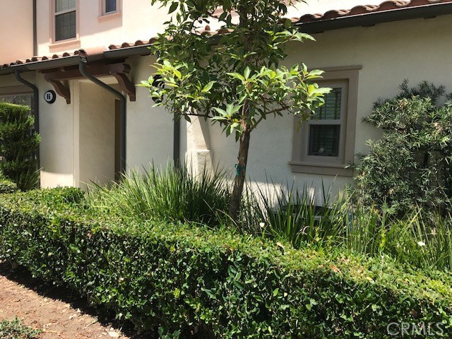 65 Nature, Irvine, CA 92620