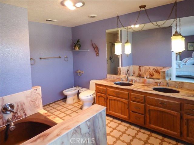 Master bathroom with both shower and oval tub, bidet, his and her sinks, and window