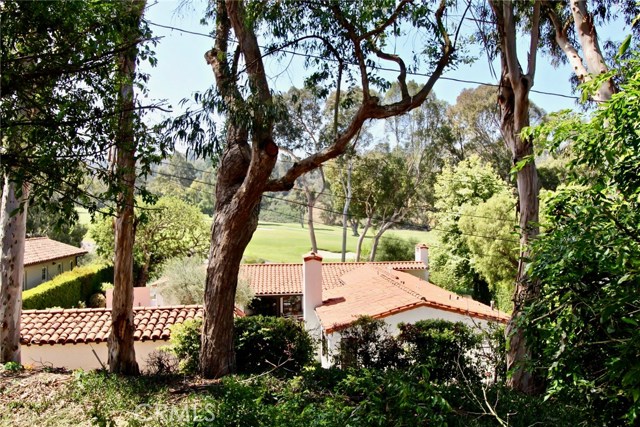 Golf Course View from Outside in Yard