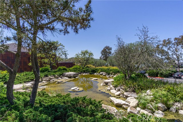 Pond water feature