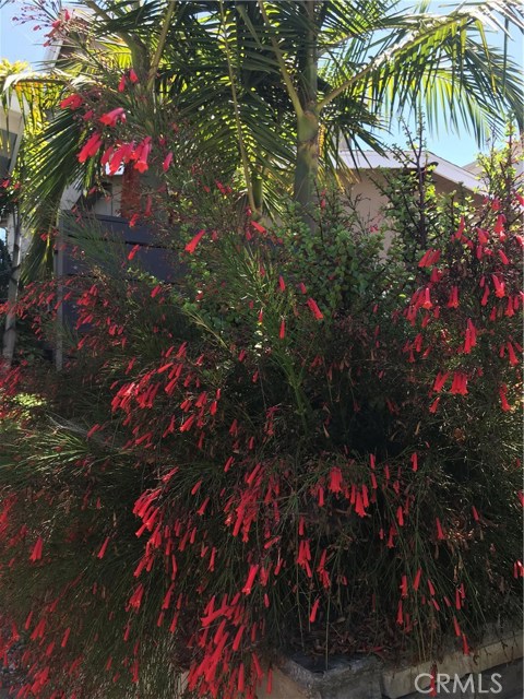 1632 Van Horne Lane, Redondo Beach, California 90278, 3 Bedrooms Bedrooms, ,2 BathroomsBathrooms,Residential,Sold,Van Horne,SB18211629