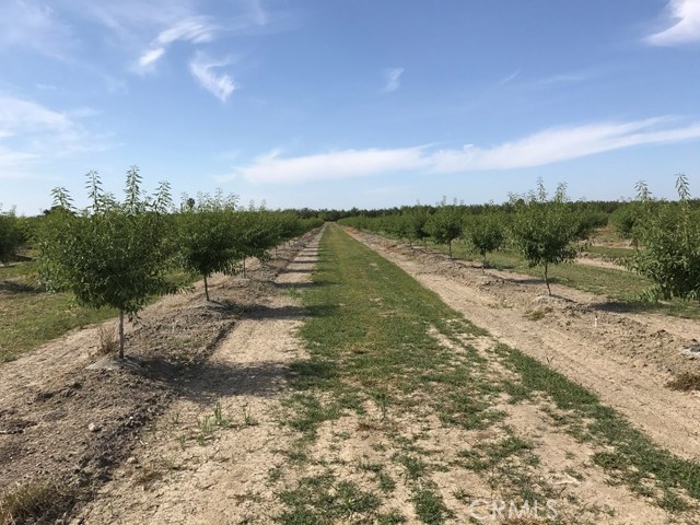 7288 County Road 24