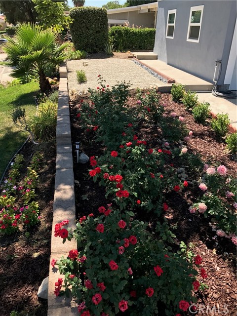 29505 Enrose Avenue, Rancho Palos Verdes, California 90275, 4 Bedrooms Bedrooms, ,1 BathroomBathrooms,Residential,Sold,Enrose,AR17207049