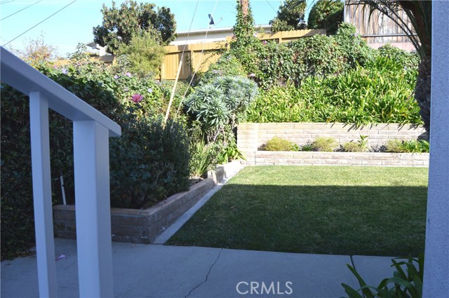 Side yard off kitchen facing backyard