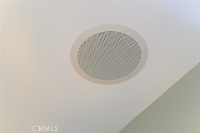 One of two stereo speakers in Master vanity; same speakers are in guest bath