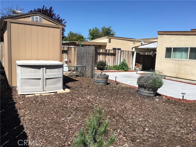 Low maintenance, drought tolerant landscape