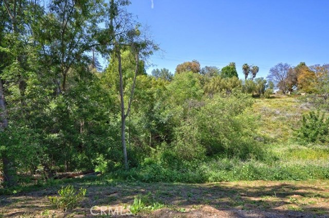 12 Casaba Road, Rolling Hills Estates, California 90274, 5 Bedrooms Bedrooms, ,4 BathroomsBathrooms,Residential,Sold,Casaba,PV18242609