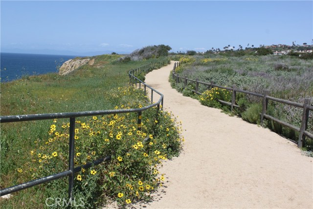 Beautiful walking paths along the coast