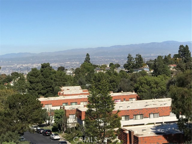 City view from pool area