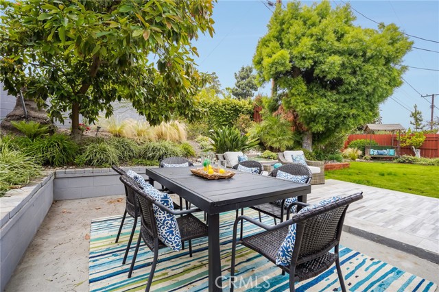 Patio table sits underneath the Avocado tree.