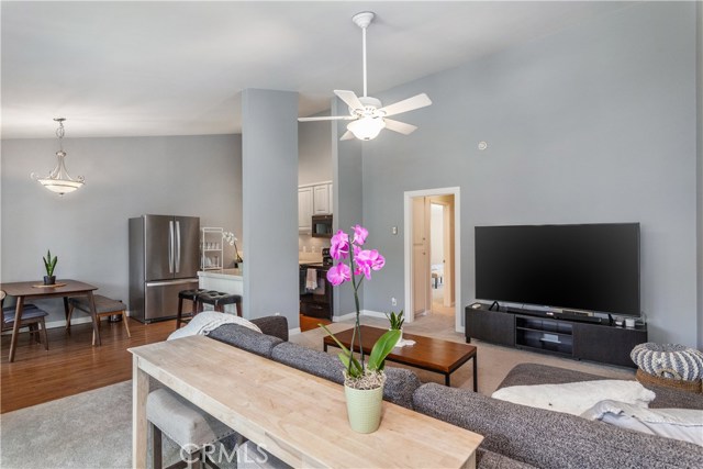 Living - Dining - Kitchen Space