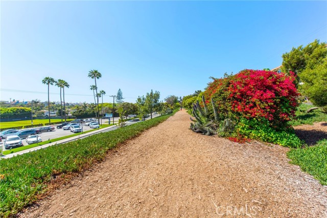 Running path with mature landscaping