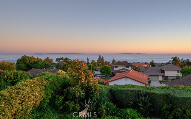 29369 Quailwood Dr, Rancho Palos Verdes, California 90275, 5 Bedrooms Bedrooms, ,1 BathroomBathrooms,Residential,Sold,Quailwood Dr,SB19189664