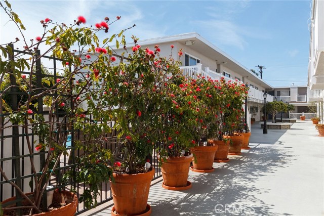 2411 Prospect Avenue, Hermosa Beach, California 90254, 2 Bedrooms Bedrooms, ,1 BathroomBathrooms,Residential,Sold,Prospect,SB19068875