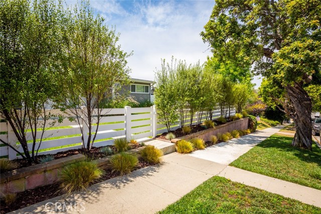 A beautiful tree lined street with sidewalks for strolls around the neighborhood or to the very cool and yummy Two Guns for coffee and avocado toast!