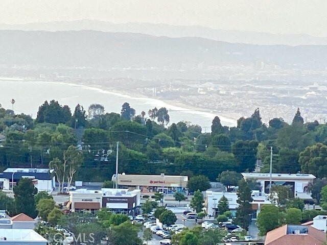 View from the home