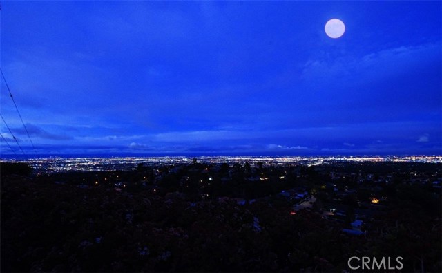 Panoramic City Night View