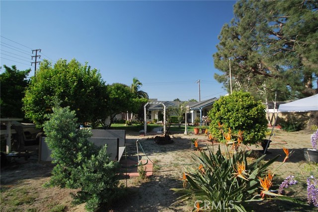 6115 Chino Avenue, Chino, CA 91710, photo 15