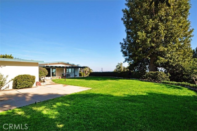 Wonderful back yard with plenty of room for a pool.