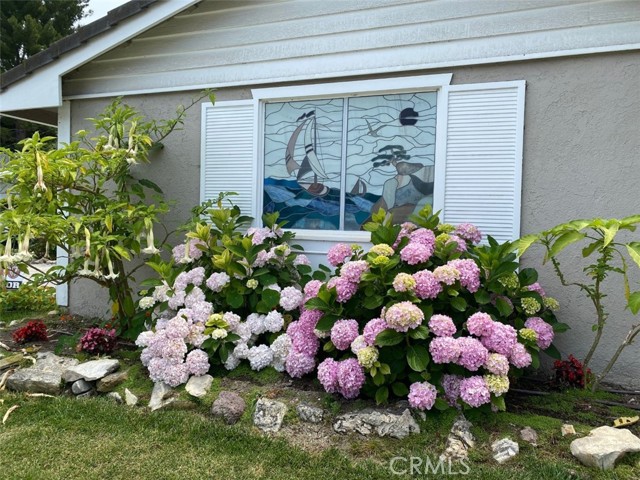 Hydrangeas by decorative garage window