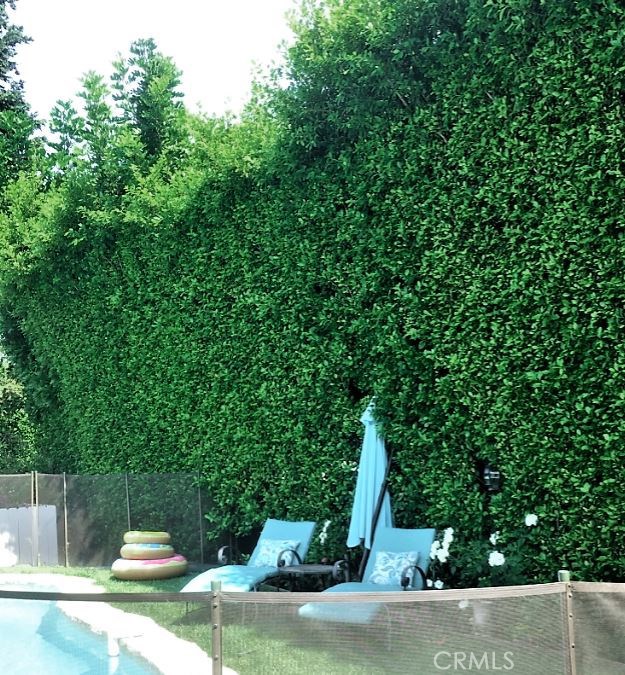 hedges make for super private yard