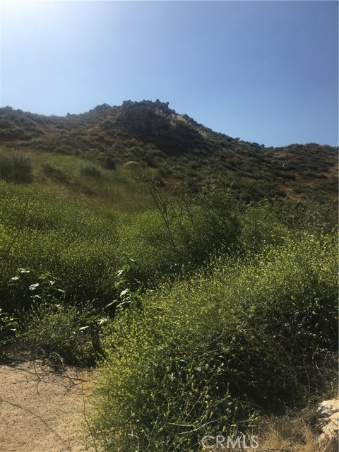 El Toro