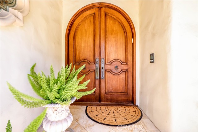 Custom, solid wood entry door; framed by Italian custom columns.