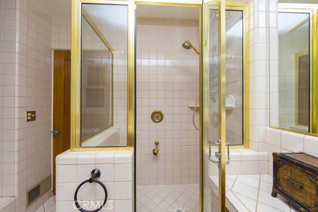 Master Bathroom with Walk-in Shower and Jacuzzi Tub