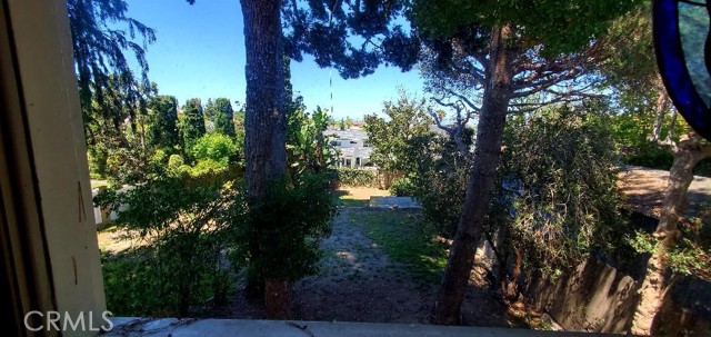 Kitchen Window view of backyard