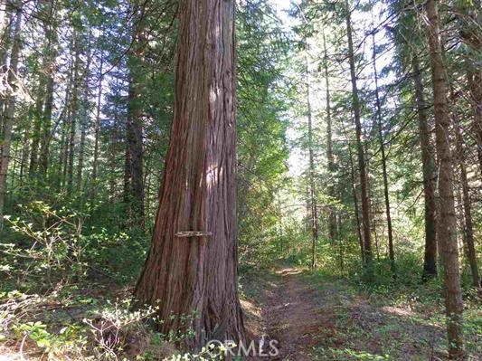 13193 Oroquincy Highway, Berry Creek, CA, 95916 13193 Oroquincy Highway