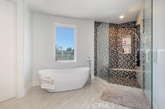 Master Bathroom Tub & Shower