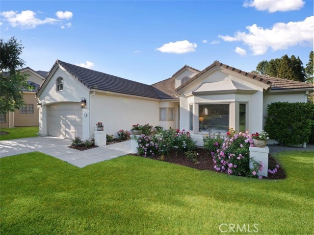 Big front yard with beautiful rose garden