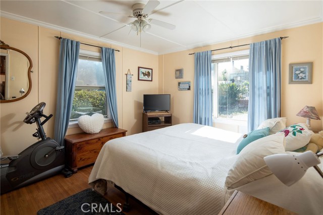 Bright master bedroom with ceiling fan.