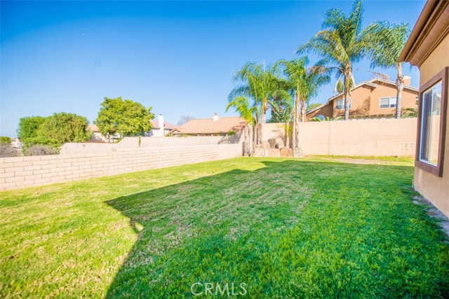 Large Backyard Grassy Area with Fountain.