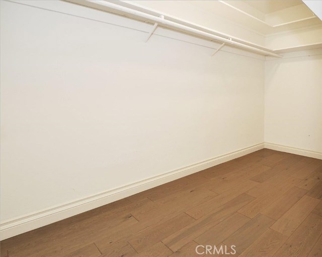 Walk-in Closet in Master Bedroom