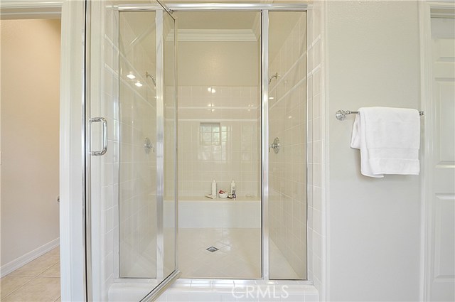 Walk-in Shower in Master Bathroom