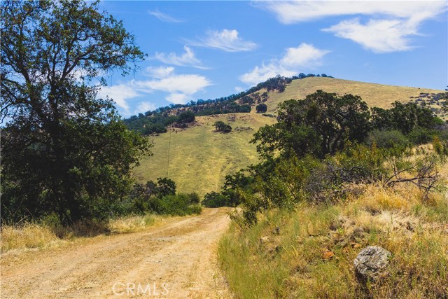80 Acres- Watts Valley Road