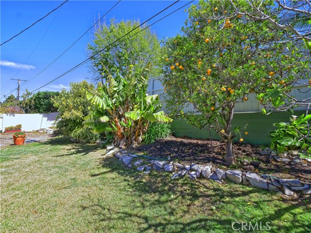 Inviting grassy yard with lots of fruit trees.