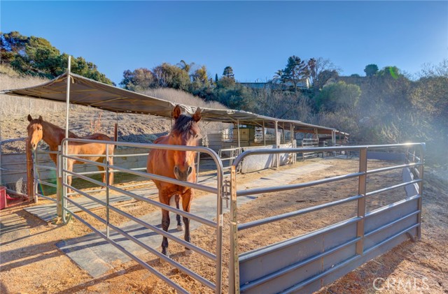 58 Hidden Valley Road, Rolling Hills Estates, California 90274, 6 Bedrooms Bedrooms, ,5 BathroomsBathrooms,Residential,Sold,Hidden Valley,SB21026059