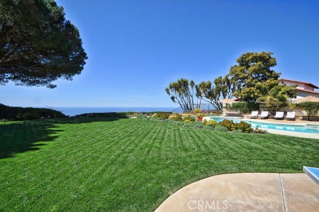 Large Grassy Area in the Backyard with View