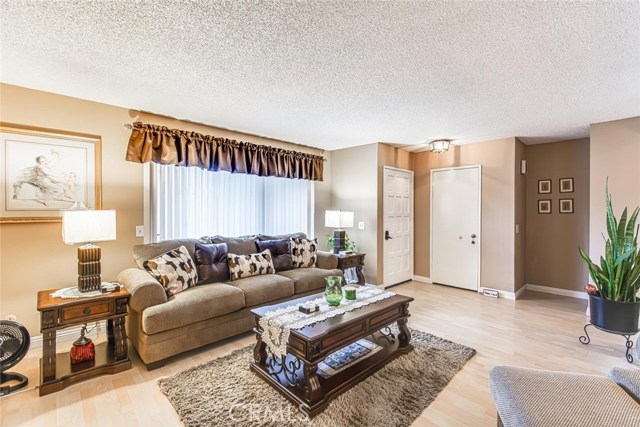 The Living room is so bright, a lot of light coming through!