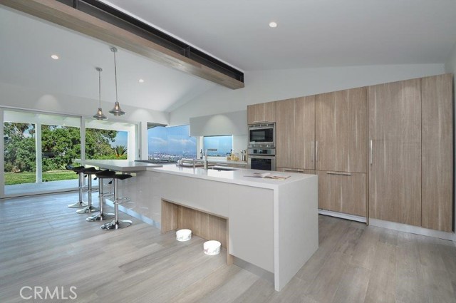 Open Kitchen with Built-in Appliances